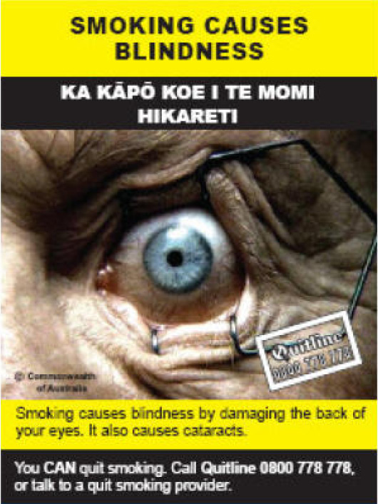 NZ 2008 Health Effects eye - blindness, diseased organ